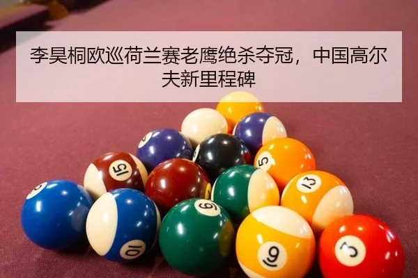 li-hao-tong-ou-xun-he-lan-sai-lao-ying-jue-sha-duo-guan-zhong-guo-gao-er-fu-xin-li-cheng-bei-3-123.jpg