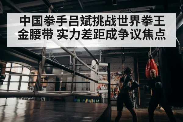 boxer training in gym